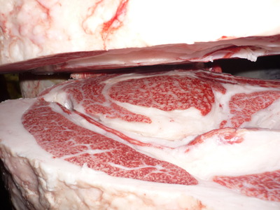 ͥ�ɾޡ�151�������­�