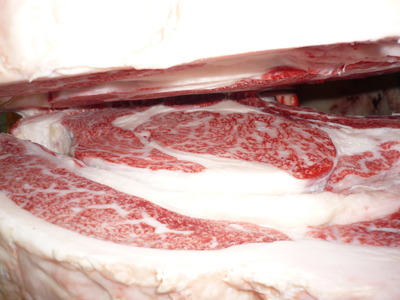 Í¥ÎɾÞ20»Ô¼¤¢¤Ä»Ò¡