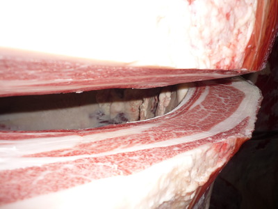 ͥ�ɾ�5084���ļ��ΰ쭢