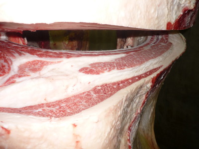 ��ͥ���ޡ�146����ˮͺ��