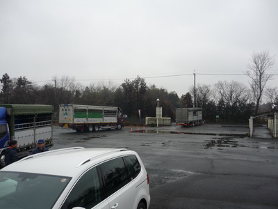 ��Φ����������� 032