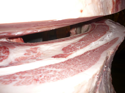 ͥ���ޣ��ʡ�156��ƣ�Ҿ쭢