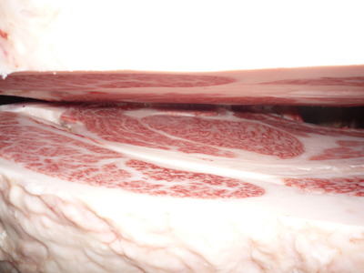 ̾ÍÀ¾Þ¡¡025Éð°æ´à¡