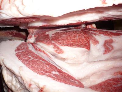 Í¥Îɾޡ¡072Àß³Ú½ÓÉס