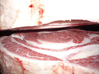 ͥ�ɾޡ�114��ƣ�Ҿ쭡