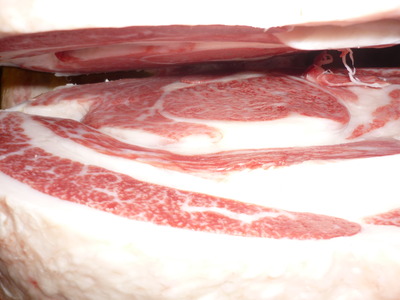 ��ͥ���ޡ�091�Ļ��ûέ�