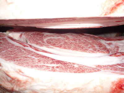 ͥ�ɾޡ�56�������쭡