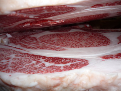 09¸¦½¤ÇÀ¾ì¡