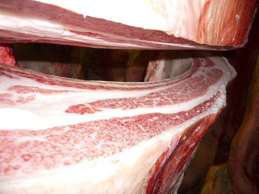 ͥ�ɾ�77����GF��