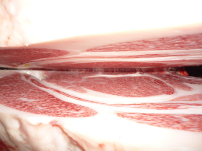 ͥ�ɾ�5111(��)��ͳ��