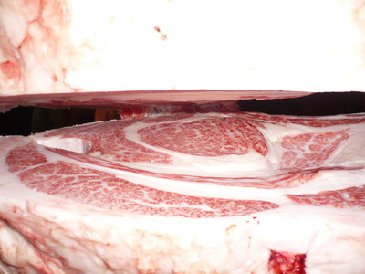 Í¥Îɾޡ¡091ÊÆÊ¿ËÒ¾ì¡