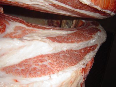 ºÇÍ¥½¨¾Þ¡¡07¶ÌÃÖµ×»Ì?