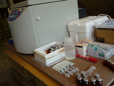 ��ʿ�Ҿ� 001