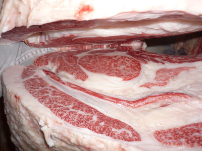 ���쥤������̾ޡ�122��������