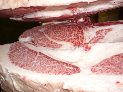 ��ͥ���ޡ�158��ƣ�Ҿ쭡