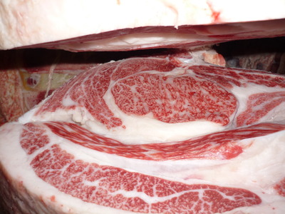 Í¥Îɾޡ¡072°ÂÅçʸͺ¡