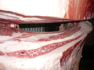 ͥ���ޣ��ʡ�140���Ҥ���Į�µ����󥿡���