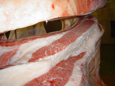 ��ͥ���ޡ����ڡ˻��ꭢ