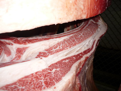 ͥ�ɾޡ�125(ͭ)��ƣ�Ҿ쭢