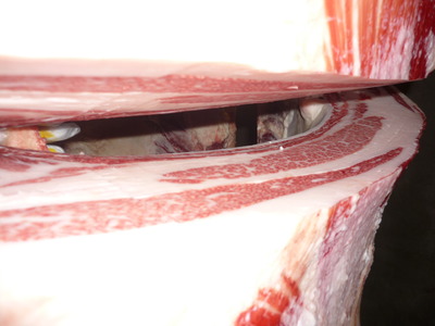 1Åù¾Þ4ÀÊ¡¡51ÃæÂ¼¸øÆÁ¢