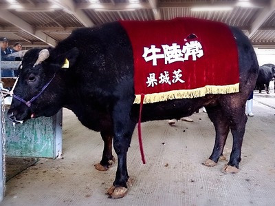 2015-03-01-14-41-57_deco