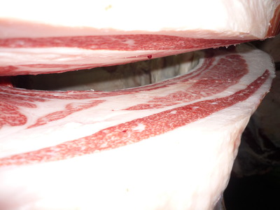 ͥ���ޡ�5536���������­�