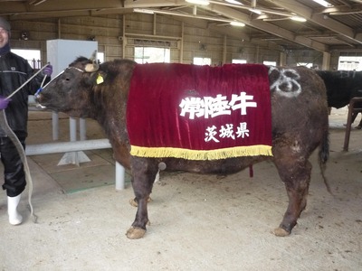 ��Φ����������� 021