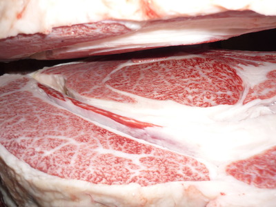 Í¥½¨¾Þ£³ÀÊ113ß§ß·ÃÜ»ºê¡