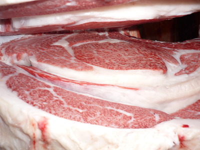 ͥ���ޣ��ʡ�5048�����ҭ�