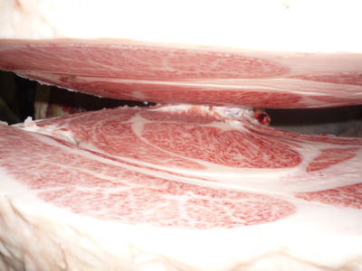 Í¥Îɾޡ¡097°ð¸«¿®¹§¡