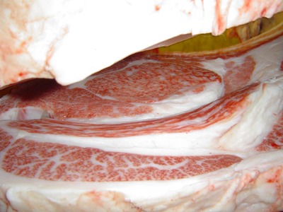 ��ͥ���ޡ����