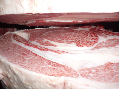 Í¥ÎɾÞ089¶¶ËÜÃÜ»ºê¡