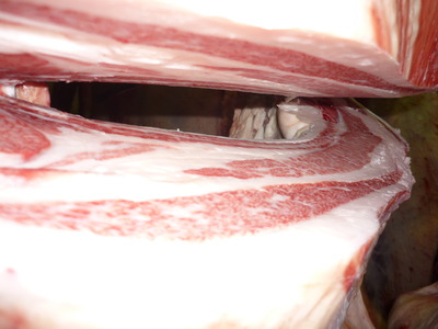 ͥ���ޣ��ʡ�4133��¼����