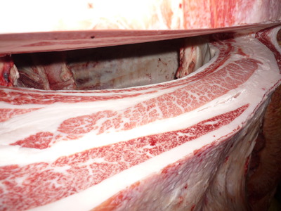 ºÇÍ¥½¨¾Þ159±§ÅÔÌÚ¹§¹À¢