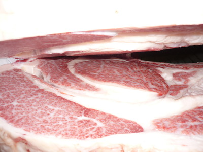 ̾ÍÀ¾Þ¡¡074(Í)²ÃÆ£ËÒ¾ì¡