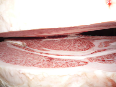 ̾����5099��������