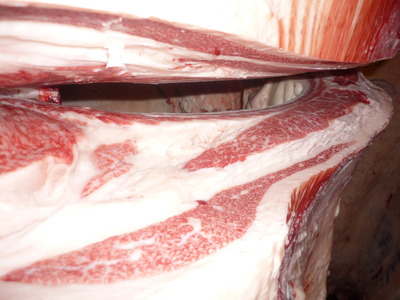 ̾ÍÀ¾Þ¡¡095Á°ÀîÃé¾¼¢