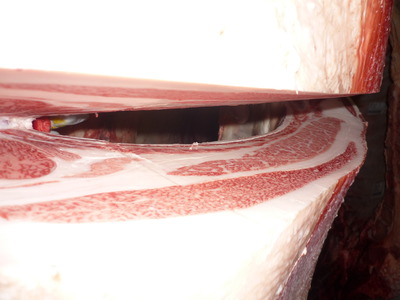 1Åù¾Þ1ÀÊ¡¡55Àкê¶Ñ¢