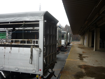 ��Φ����������� 031