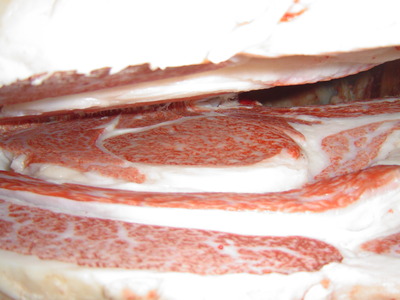 ͥ��2�ʱ�ë1