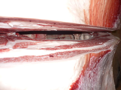 ͥ�ɾޡ�181�����ٻ��׭�