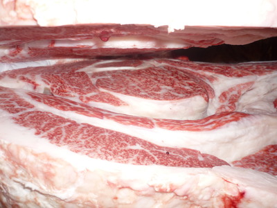 ͥ�ɾޡ�132���Ĺ��ԭ�