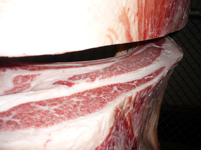 ��ͥ���ޡ�119�������­�