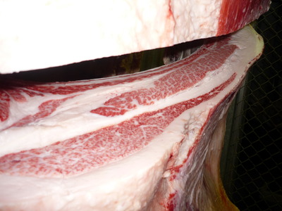 ͥ�ɾޡ�108����ʸͺ��