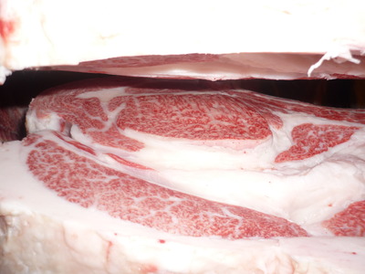 ºÇÍ¥½¨¾Þ¡¡099¿·´§Ä®ÍËÒÌî¡