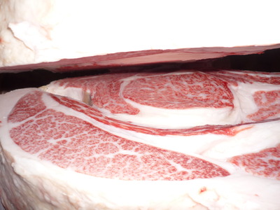 ��ͥ���ޡ�119�������­�