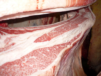 ̾ÍÀ¾Þ096¼ò°æ¹î¸Ê¢