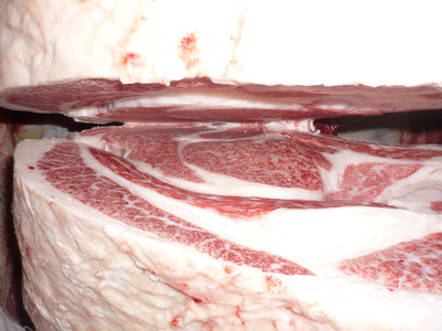 ��ͥ���ޡ�151�����Ҿ쭡