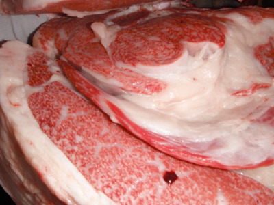 Í¥Îɾޡ¦Åľå¸ù¡