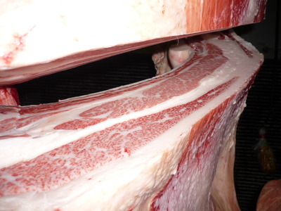 Í¥½¨¾Þ£±ÀÊ¡¡089Àкê¶Ñ¢